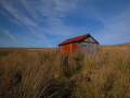 Feed Shed