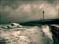 Sunderland