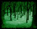 Tandlewood