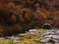 Tilberthwaite